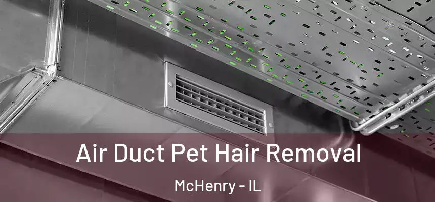Air Duct Pet Hair Removal McHenry - IL