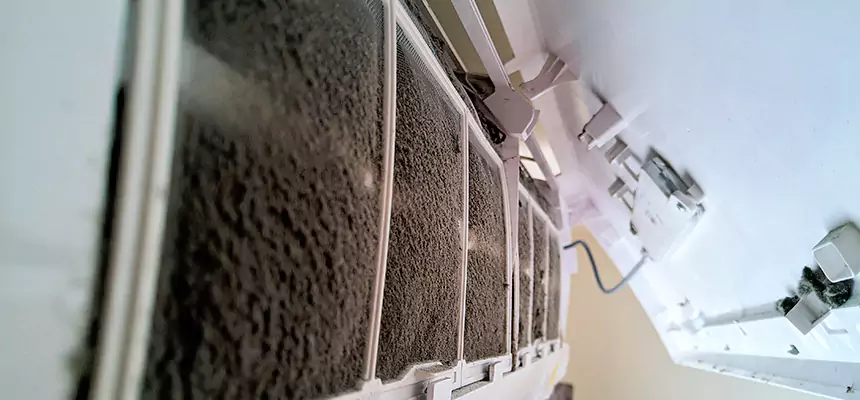 Preventive Air Duct Bacteria Removal in McHenry