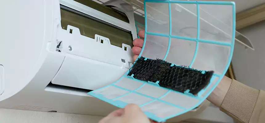 Gentle Ductwork Odor-Control Pet Dander Duct Cleaning in McHenry, IL