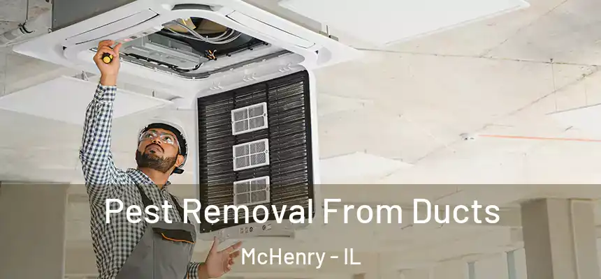 Pest Removal From Ducts McHenry - IL