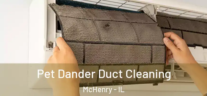 Pet Dander Duct Cleaning McHenry - IL