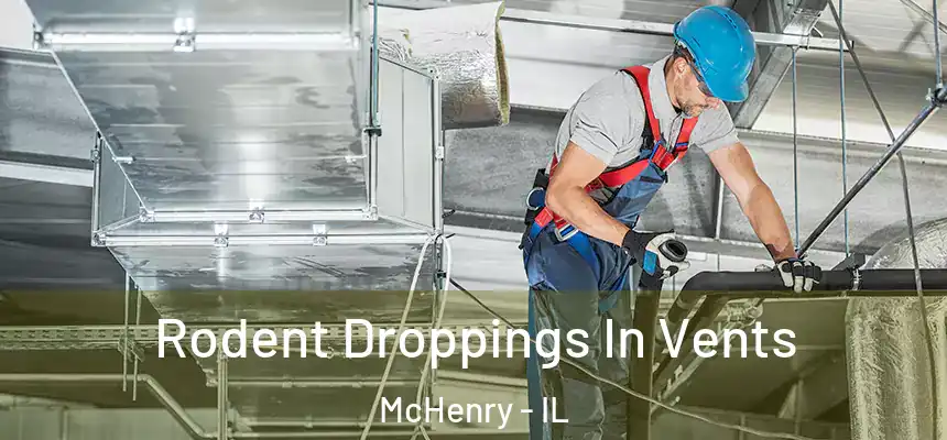  Rodent Droppings In Vents McHenry - IL