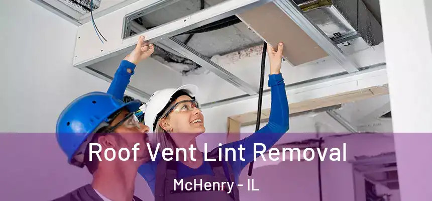  Roof Vent Lint Removal McHenry - IL