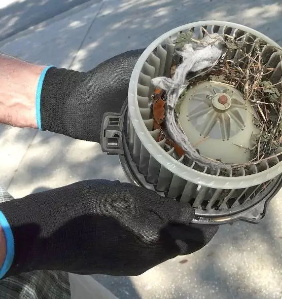 About Air Duct Rat Removal in McHenry, IL